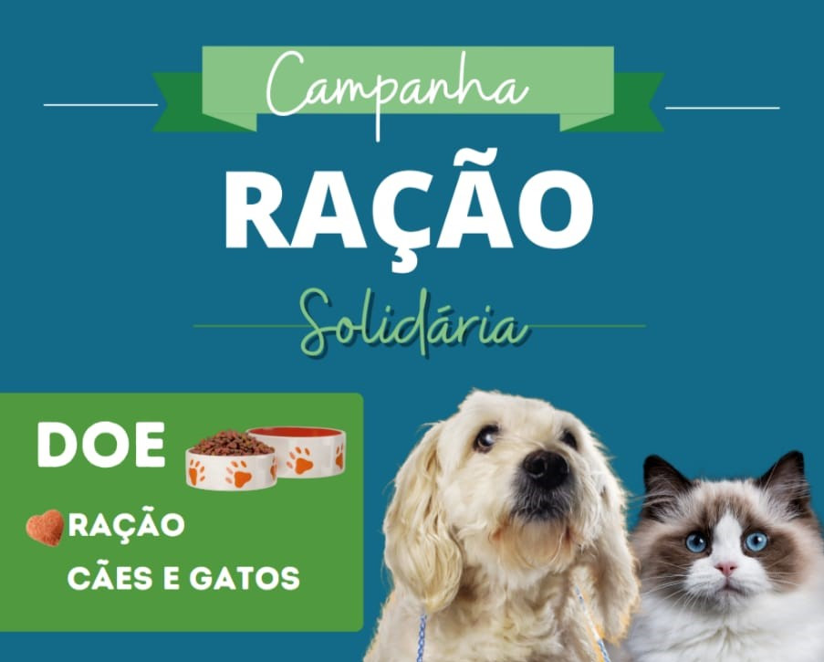 Imbituba Intensifica A Campanha Para A Arrecadação De Ração Para Cães E Gatos Ligado No Sul 3767